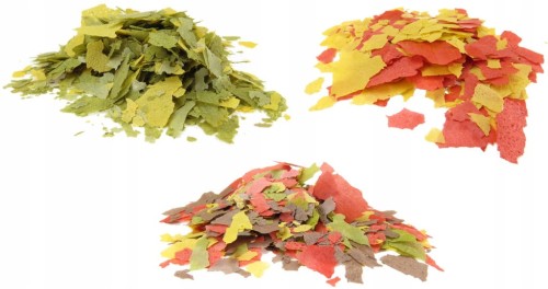 62338d1b08647753fb8db65f9f5eaab0