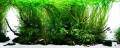 1fa1bebf69b9b86b74d8fb677e10e069
