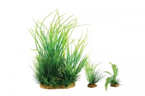 ZOLUX ZESTAW 3 ROŚLIN DO AKWARIUM WIHA model 1