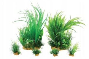 ZOLUX ZESTAW 6 ROŚLIN DO AKWARIUM JALAYA 1