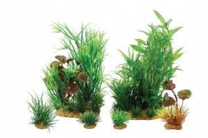 ZOLUX ZESTAW 6 ROŚLIN DO AKWARIUM JALAYA 2