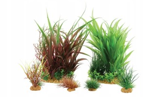 ZOLUX ZESTAW 6 ROŚLIN DO AKWARIUM JALAYA 3