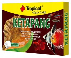 TROPICAL KETAPANG LIŚCIE MIGDAŁECZNIKA CZARNA WODA