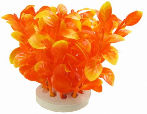 c802c04b0c868d24917ba636cdf12d97