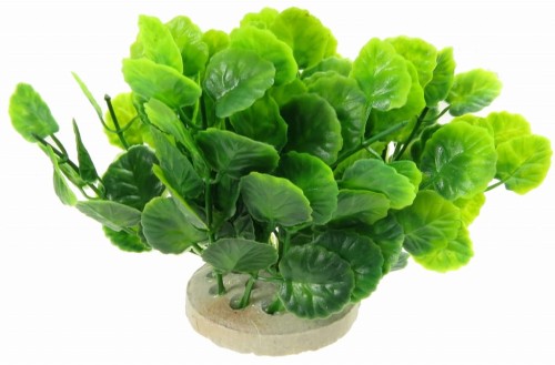 b10effda6f9cfa4829ad4058dc9a2960