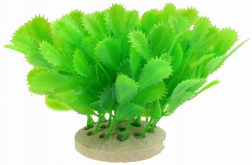 5a17b69651f19bc637393d30e2015df0