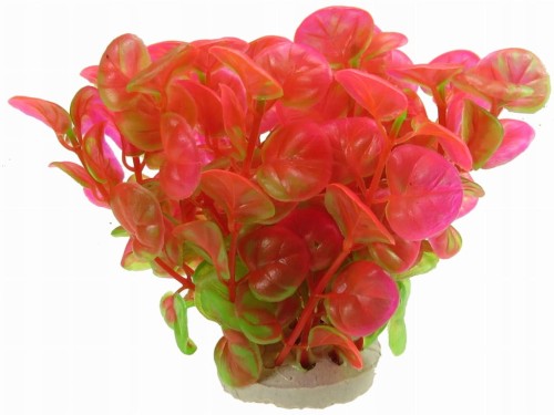 202f826db800684178236398daefdb3f