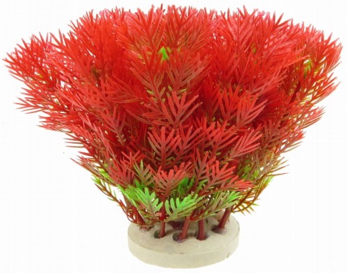 c8af8f4dbd7b500b0fd0bc87c29caa3b