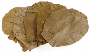 PETSCO - LIŚCIE MIGDAŁECZNIKA MORSKIEGO 10g