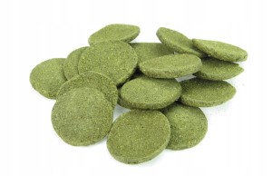 TROPICAL GREEN ALGAE WAFERS 100g DLA GLONOJADÓW