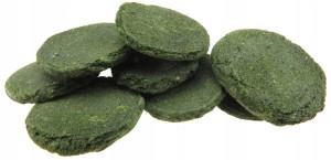 TROPICAL HI-ALGAE DISC XXL POKARM DLA GLONOJADÓW