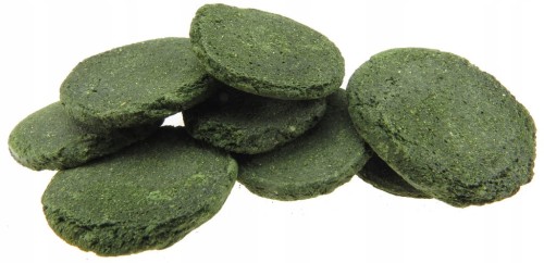 4c65e11a22044aada9521ab318425903