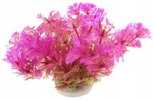 ROŚLINKA SZTUCZNA DO AKWARIUM 10cm DEKORACJA 1f03