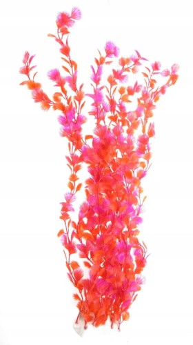 c0c202a06464de1fc144cd671c494984