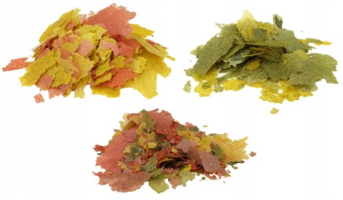 996cc68f1a15c43f17c9d5e8c0f07766