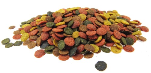 1a050ff0765ea849d13681038b395a36