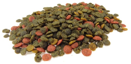 969891f2a852cb82ac75c89b973906ee