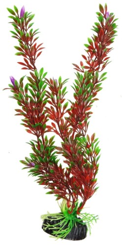 607d9ce76acc3bc2c33444728490a331