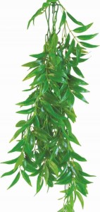 HAPPET ROŚLINA DO TERRARIUM FIKUS DŁUGOLISTNY 50CM