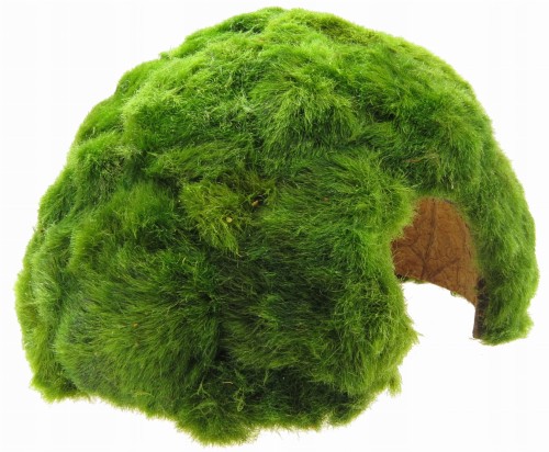 02513116c5b20ad0a6fe7fcf34504666