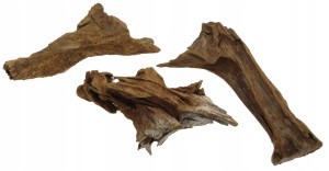 KORZEŃ MANGROWCA DO AKWARIUM LOSOWY 23-29cm - 1szt