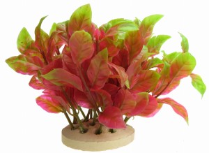 ROŚLINKA SZTUCZNA DO AKWARIUM 10cm DEKORACJA 1f05