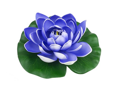 1af821016968b9320869d23b7e112752