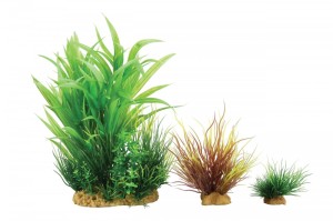 ZOLUX ZESTAW 3 ROŚLIN DO AKWARIUM WIHA model 2