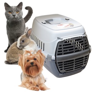 TRANSPORTER DLA KOTA, PSA, KRÓLIKA, SZARY 50cm