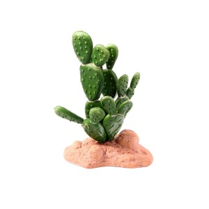 REPTILE NOVA OZDOBNA ROŚLINA TERRARIUM KAKTUS 15cm