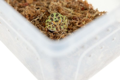 71f9e0356f5a163cd4d80d3451633fa4