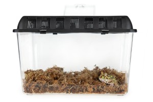 HAPPET Pojemnik hodowlany TERRA BOX/ FAUNARIUM 20x20x17cm