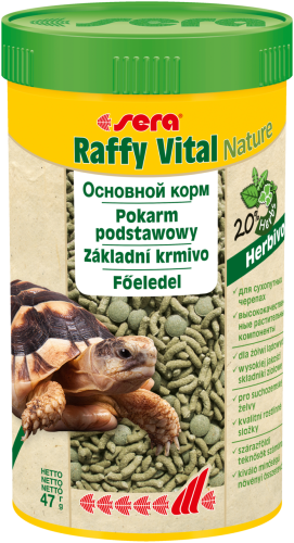 65ce2ef78def9ad3122674095a0f9893