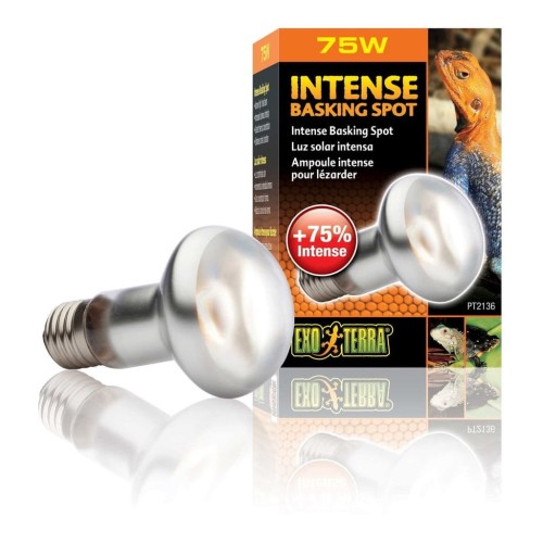 52bf720e55bfa6ac146221bfb6de728a