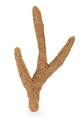 kokosowa-galaz-troncho-s-40cm.jpg