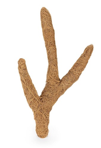 kokosowa-galaz-troncho-s-40cm.jpg