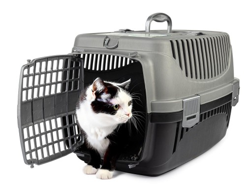 transporter-polly-m-szary-czarny (3).jpg