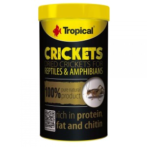 TROPICAL SUSZONE ŚWIERSZCZE DLA GADÓW I DUŻYCH RYB 100ml CRICKETS