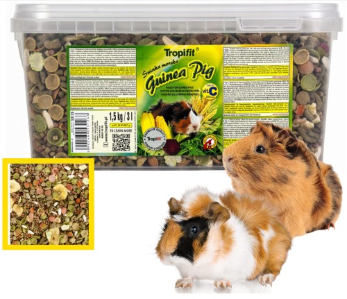 tropical-guinea-pig-wiadro-allpets-petsco.jpg