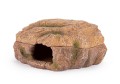 r179-jaskinia-mokra-kryjowka-terrarium (4).jpg