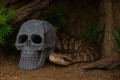 r205-ozdoba-terrarium-czaszka-muerte (2).jpg