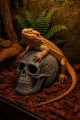 r205-ozdoba-terrarium-czaszka-muerte (1).jpg