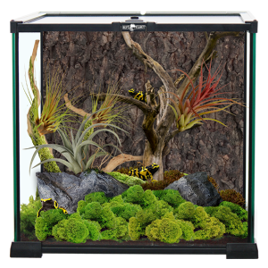 REPTI PLANET Terrarium szklane wentylowane od góry 30x30x30cm