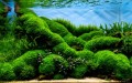 20230530-_1058663.jpg