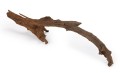 mangrowiec-galaz-l-70-90cm (2).jpg