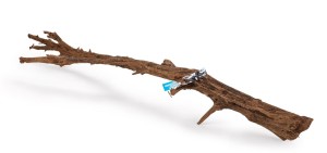 Happet Korzeń Mangrowca do akwarium i terrarium - gałąź 50-70cm 1 szt