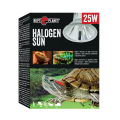 Halogen-Sun 25.png