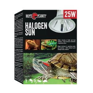 REPTI PLANET Żarówka grzewcza do terrarium dla żółwia halogen Sun 25W