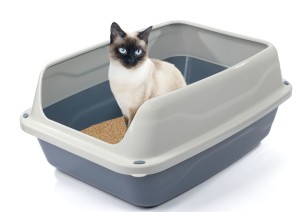 SONIC Szara Kuweta dla kota z wysoką jasną ramką 56x40x24cm