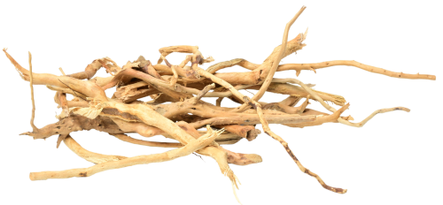 b7e4ec0d-2944-443f-aaa4-4f114fcf9351.png